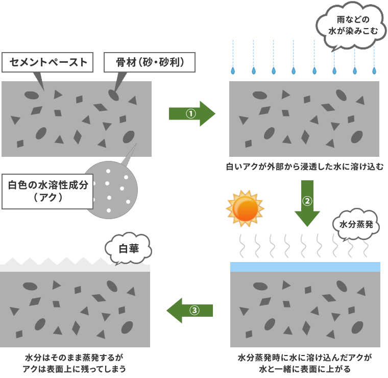 白華イメージ